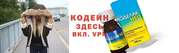 твердый Козельск