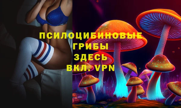 эйфоретик Алексин
